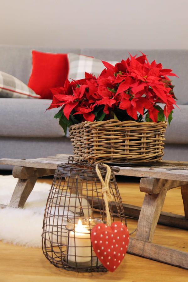 Apartments And Rooms Kaja Kranjska Gora Εξωτερικό φωτογραφία